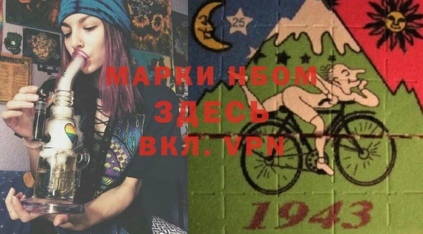 гашиш Богданович