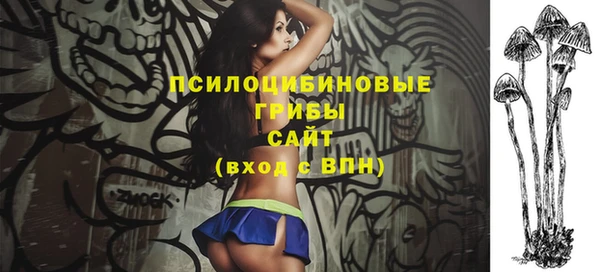 бутират Богородицк