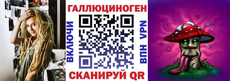 купить наркоту  Можга  Псилоцибиновые грибы Psilocybe 