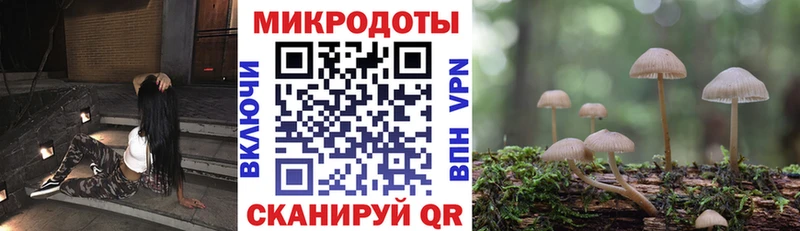 Галлюциногенные грибы Cubensis Можга